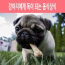 선화로8길 이미지