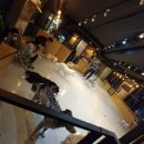 다독다독애견카페 이미지