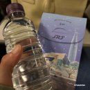 촌놈애견샵 | 성심당 빵 처음 먹어본 사람이 쓰는 당일치기 대전여행. SRT 수서, 헤이독 애견카페, 성심당