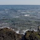 제주와봄 이미지