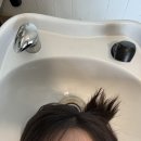 승미용실 네이버블로그