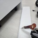 하월곡동 구축 빌라 해충방역, 바퀴벌레가 많은 곳...와서 걱정이 돼요. '숲세권 바퀴' 유입경로 차단 후기