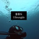 조인모텔 | 인생 첫 울릉도 3박4일 + 스쿠버 다이빙 .이제 52로그(52번 다이빙)