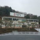 금일인삼