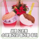 젤라뚱 | 세종시 고운동 수제 젤라또 디저트 맛집 젤라뚱 후기