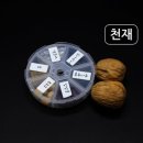 H0451 이미지