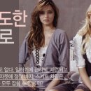레이디PC 이미지