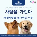 씽씽 동물의료센터 이미지