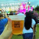 대구 수제맥주축제 생생 현장 후기 | 수성못 여름밤 감성 끝판왕