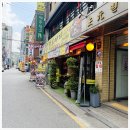 도야지 친구들 이미지