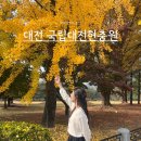 대전 가을 데이트 무료 단풍 명소 국립대전현충원 위치 주차