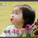 테라롯지흙집 이미지