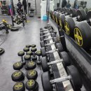 하드캐리짐 이미지