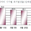 사과의 육묘 이미지