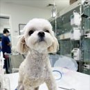 24시 유앤미동물병원 이미지