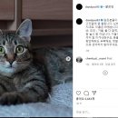 남매목장 이미지