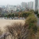 탐투스(주) 이미지