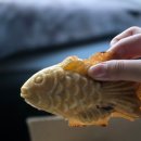 비래서로9번길 이미지