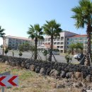 일성비치콘도미니엄 이미지