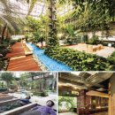 청운목장 이미지