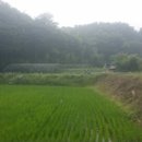 호천골 네이버블로그