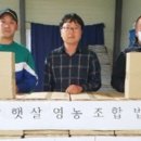 햇살 영농조합 법인 이미지