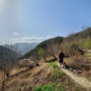 향초목원 이미지