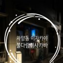 (뚝섬술집/뚝섬이자카야) 뚝섬유원지 근처 분위기 좋은 이자카야 불다람쥐사카바 다녀온 후기⌯ᵔ⩊ᵔ⌯ಣ