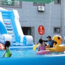 해적선 애견펜션 이미지