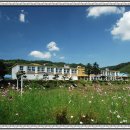 신평중학교 이미지