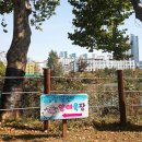 유현목장 이미지