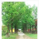 가천농원민박 이미지