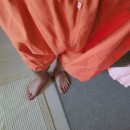사자마을 | 쑥뜸천하 오송점 강화사자쑥 솔직한 후기