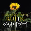 아담 이미지