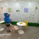 레인보우 토스트 이미지