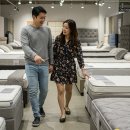 편백나무 침대 프레임 가격 총정리 : 내돈내산 후기 🌿🛏️