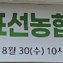 표선농협주유소 이미지