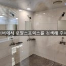 로얄스포렉스 이미지