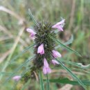 한림정역 이미지