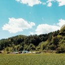 영농조합법인배바위카누마을 이미지