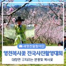 제7회 안동포 전국사진 촬영대회 입상작 전시 | 제15회 영천복사꽃 전국사진촬영대회 참가후기