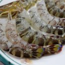 충무회수산 이미지