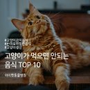 아이펫동물병원 이미지