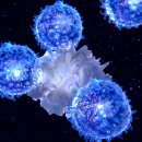 신성요양병원 이미지