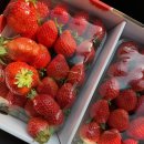 민건농장 이미지