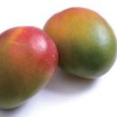 애플망고 이미지