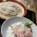신도쿄참치