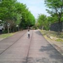 푸른길 작은도서관 이미지