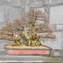 제주아트랜드 이미지