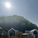 비숑민박